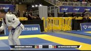 Luiz Felipe De Araujo Fernandes vs Christian Daniel Tamburilla 2026 Pan Jiu Jitsu IBJJF Championship