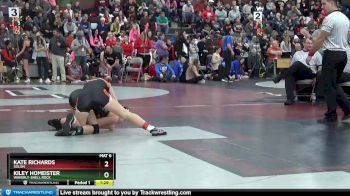 113C 1st Place Match - Kiley Homeister, Waverly-Shell Rock vs Kate Richards, Solon