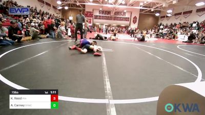 73 lbs Rr Rnd 1 - Kingston Reed, Pin-King All Stars vs Abram Carney, Springdale Youth Wrestling