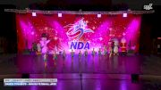 Dance Dynamics - Mini Elite Small Jazz [2025 Mini - Premier - Jazz - Small Day 1] 2025 NDA Houston Regional
