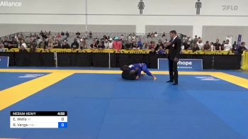 Evan Wells vs Rafael Verga 2024 World Masters IBJJF Jiu-Jitsu Championship