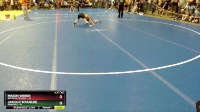 84 lbs 3rd Place Match - Lincoln Schuelke, Minneota vs Mason Weber, Red Rock Central