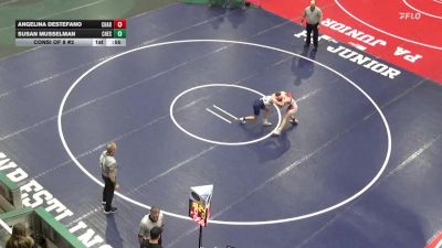 96 lbs Consi Of 8 #2 - Angelina Destefano, Charleroi vs Susan Musselman, Chestnut Ridge