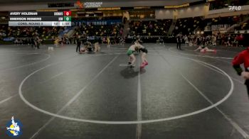 170 lbs Cons. Round 3 - Emerson Reimers, Iowa City West vs Avery Holeman, New Lenox (Lincoln-Way Central)