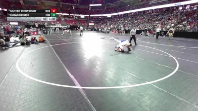 144 lbs Champ. Rd Of 16 - Carter Birdyshaw, Weyauwega-Fremont vs Lucas Heimke, Lena