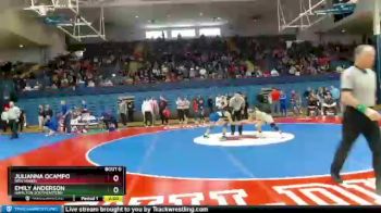 106 lbs Semifinal - Julianna Ocampo, New Haven vs Emily Anderson, Hamilton Southeastern