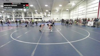 81 lbs Consi Of 4 - Nicholas Ceprano, Top Flight Wrestling Academy vs Liam Ivatts, New England Gold WC