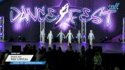 Studio 360 - Tiny Lyrical [2025 Tiny - Contemporary/Lyrical Day] 2025 DanceFest Grand Nationals