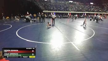 53 lbs Cons. Round 3 - Colin Gnewuch, Eastern Iowa Wrestling Club vs Moxon Demmon, Iowa