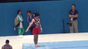 Japan (Kohei Uchimura Full routine)
