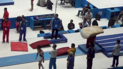 Japan (Kohei Uchimura)