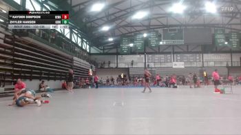 133-136 lbs Semifinal - Kayden Simpson, Contenders Wrestling Academy vs Zhyler Hansen, Newman Central Catholic