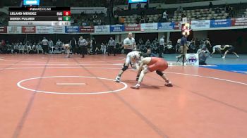 120 lbs Placement (16 Team) - Leland Mendez, Grassfield vs Derek Fulmer, Nazareth
