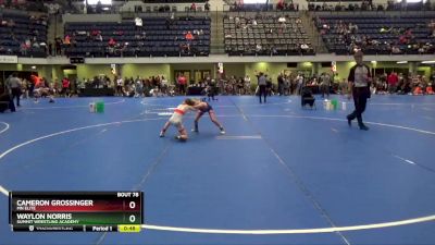 65 lbs Semifinal - Cameron Grossinger, MN Elite vs Waylon Norris, Summit Wrestling Academy