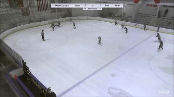 Replay: Home - 2023 Ducks U13 AA vs Whalers U13 | Oct 14 @ 12 PM