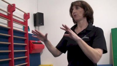 Stall Bar Flexibility #1- Split Stretching