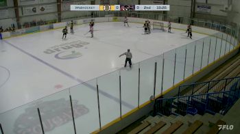 Replay: Home - 2024 Bruins U18 AAA vs Cougars U18 AAA | Feb 4 @ 1 PM