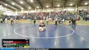 123 lbs Quarterfinal - Joseph Pollister, Pleasant Grove vs Dallin Banks, Mountain Ridge