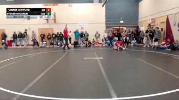 126 lbs Quarterfinal - Ayden Caywood, Nampa vs Fisher Walgren, Centennial High School