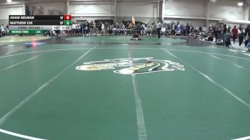 133 lbs Cons. Round 1 - Matthew Chi, UW Parkside vs Adam Gelman, Findlay