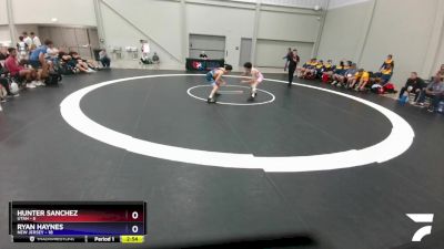 100 lbs Placement Matches (8 Team) - Hunter Sanchez, Utah vs Ryan Haynes, New Jersey