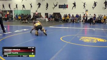 149 lbs Cons. Round 2 - Anthony Miraglia, Alfred State vs Zachary Platte, Adrian