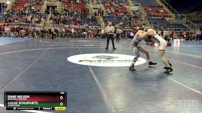 133 lbs Cons. Round 2 - Dane Nelson, Bismarck Century vs Lucas Schlepuetz, Jamestown