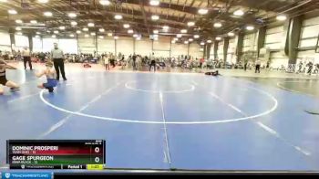 100 lbs Round 2 (6 Team) - Gage Spurgeon, Iowa Black vs Dominic Prosperi, Team Ohio