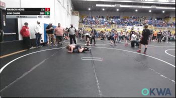 131 lbs Rr Rnd 5 - Harbor Hicks, Sallisaw Takedown Club vs Levi Ohlde, CYWC
