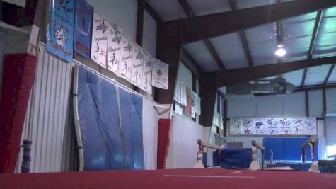 USA (Simone Biles arabian double pike)