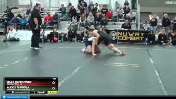 191 lbs Semis & 3rd Wb (16 Team) - Riley Dempewolf, Indiana Tech vs Alexis Tupuola, University Of Providence