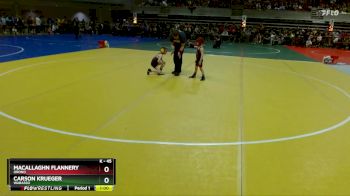 45 lbs Champ. Round 1 - Macallaghn Flannery, Orono vs Carson Krueger, Wabasso