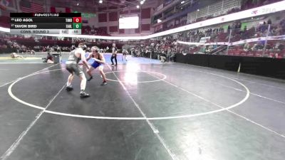 157 lbs Cons. Round 3 - Leo Agol, Timberline vs Tavon Bird, Eagle