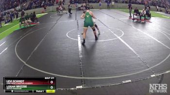 165 lbs Quarterfinal - Levi Schmidt, Lake Mead Christian Academy vs Logan Brizzee, Battle Mountain