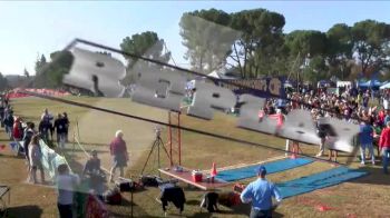 Boy's Division 2 Highlight