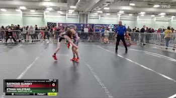 90 lbs Round 1 - Ethan Halstead, Darkhorse Wrestling Club vs Raymond Glinsky, Quaker Wrestling Club