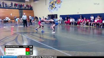 126 lbs Semis & 1st Wb (8 Team) - Robert Agzigian, Toombs County vs Cooper Moreland, Fannin County HS