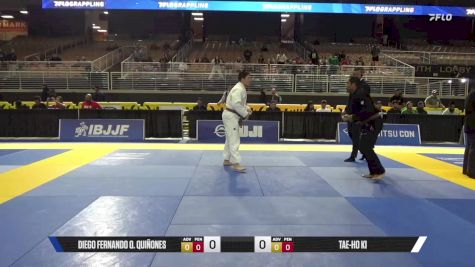 Tae-Ho Ki vs Diego Fernando O. Quiñones 2025 Pan Jiu Jitsu IBJJF Championship