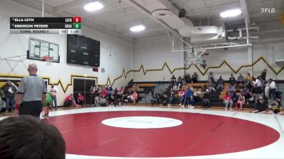 170 lbs Cons. Round 5 - Emerson Peters, Columbus Catholic, Waterloo vs Ella Leyh, Lone Tree