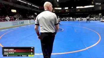 215 lbs Semifinal - Sean Luedy, Arizona College Prep vs Cole Burch, Marana