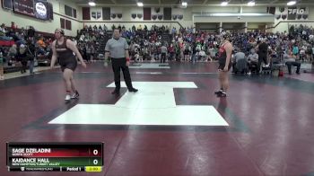 235 lbs Round 3 - Sage Dzeladini, North Scott vs Kaidance Hall, New Hampton/Turkey Valley