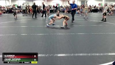 68 lbs Round 6 (8 Team) - Crosby Mathews, Black Fox Wrestling vs AJ Guercio, Bitetto Trained