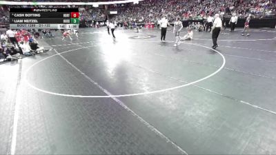 D1-132 lbs Semifinal - Liam Neitzel, Hudson vs Cash Botting, Hortonville