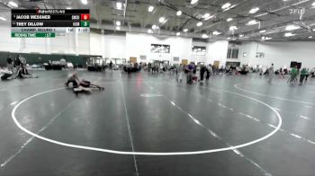 149 lbs Champ. Round 1 - Trey Dillow, Central Missouri vs Jacob Messner, Southwest Minnesota State