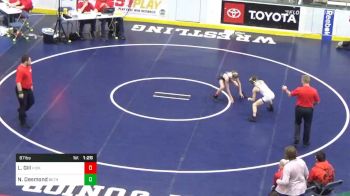 87 lbs Final - Louie Gill, Hickory vs Nathan Desmond, Bethlehem