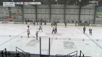 Replay: Home - 2024 Blue U18 vs White U18 | Jan 31 @ 4 PM