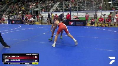 125 lbs Champ. Round 1 - Jacob LaBryer, PA vs Reza Massjouni, VA