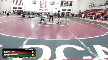 132 lbs Cons. Round 5 - Kyra Wyant, Emmett vs Eleanor Roman, Potlatch