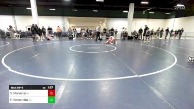 105 lbs Final - Vincenzo Mannello, NY vs Phillip Hernandez, CA