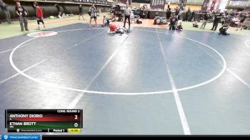 138 lbs Cons. Round 2 - Anthony Diorio, IL vs Ethan Brott, MN
